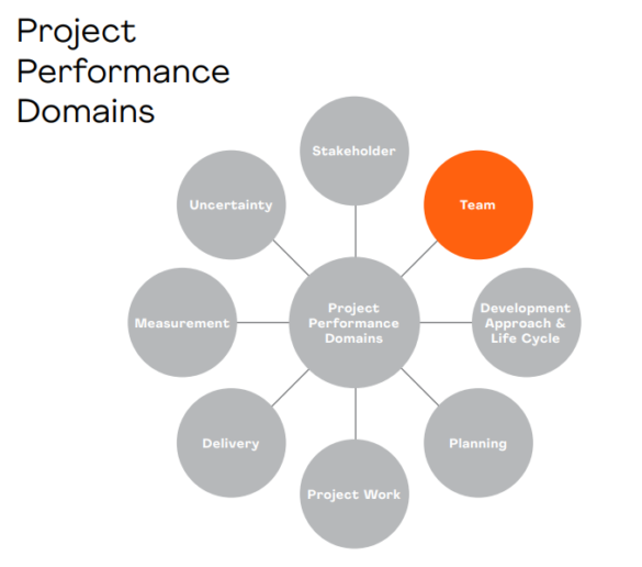 Teams - Project Performance Domains (PMBOK)